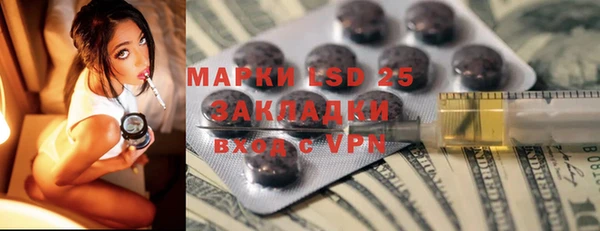 шишки Магас