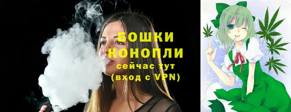 шишки Магас