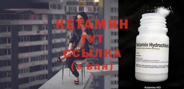 шишки Магас