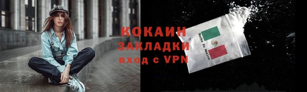 шишки Магас