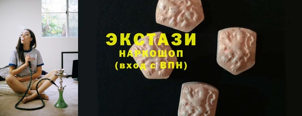 шишки Магас