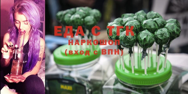 шишки Магас