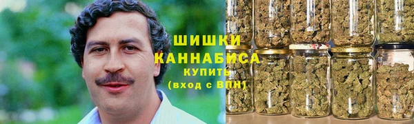 шишки Магас