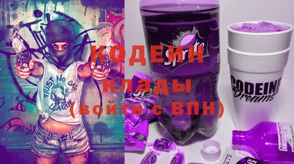 шишки Магас
