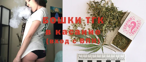 шишки Магас