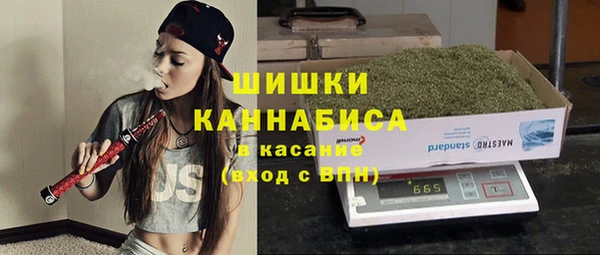 шишки Магас