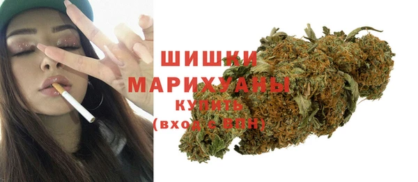 шишки Магас