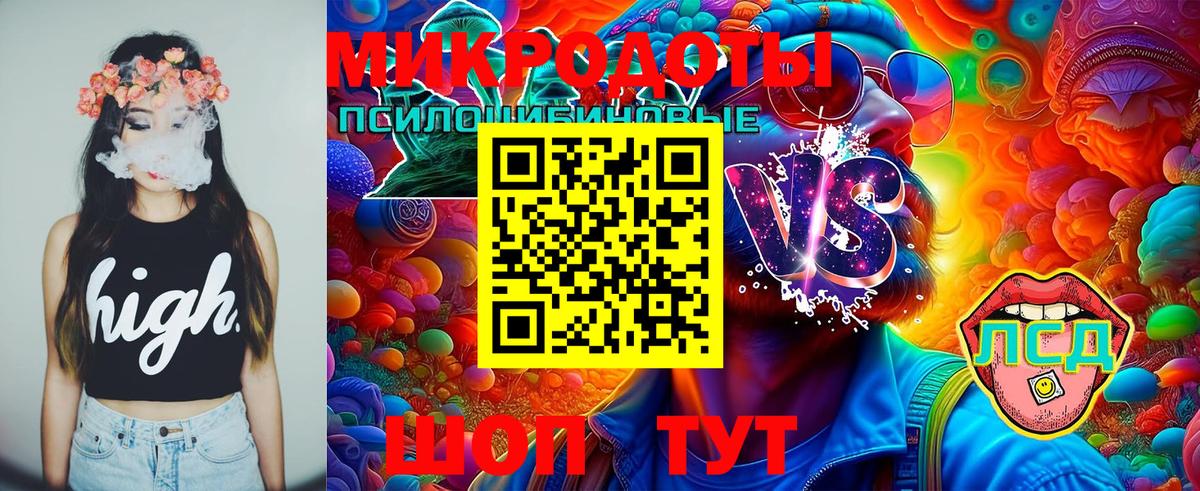 Псилоцибиновые грибы GOLDEN TEACHER  Тейково  купить  цена  Галлюциногенные грибы Magic Shrooms 